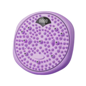 Intelligent Magnetic Twist Disc for Waist & Body Shaping