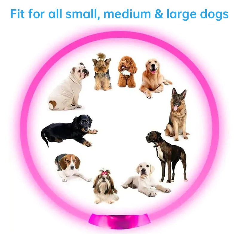 3-Mode LED Dog Collar - USB Rechargeable - Image 9