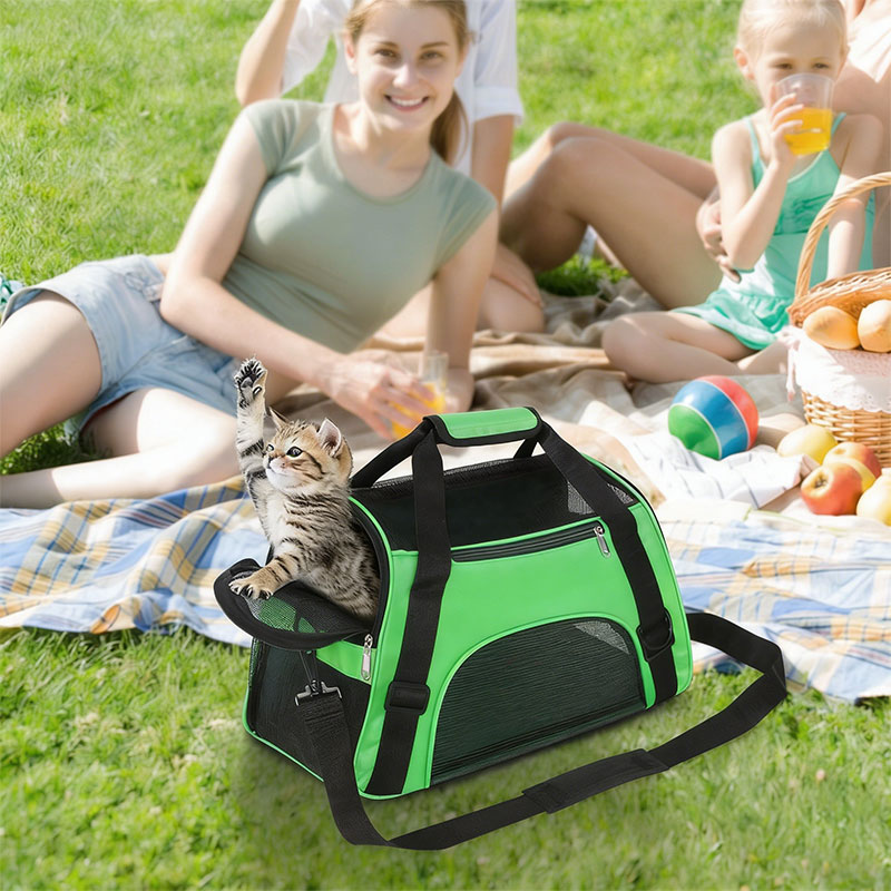 Foldable & Expandable Pet Carrier Bag - Image 11