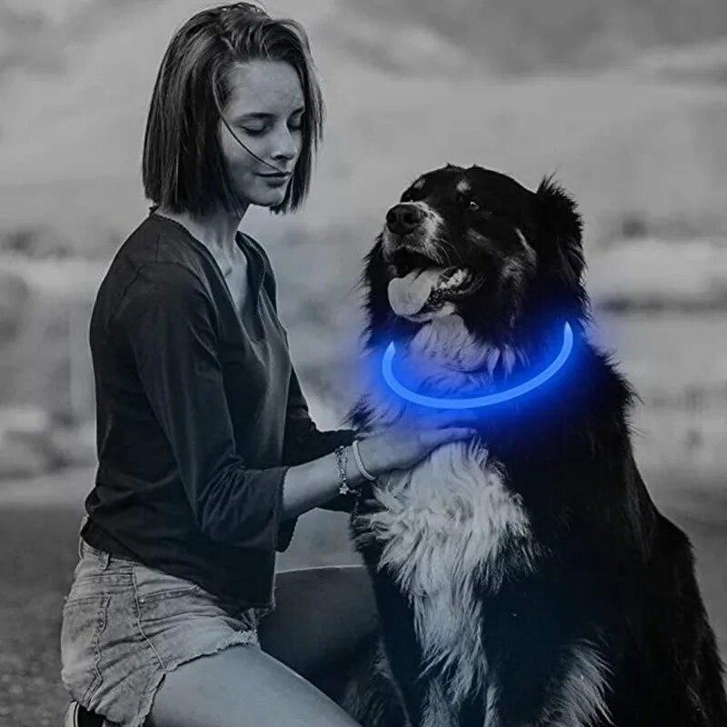 3-Mode LED Dog Collar - USB Rechargeable - Image 8