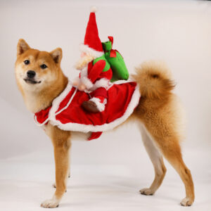 Funny Christmas Dog Costume