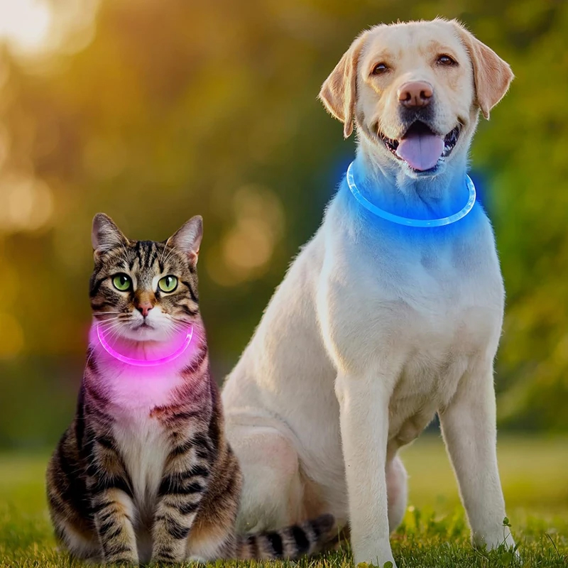3-Mode LED Dog Collar - USB Rechargeable - Image 6