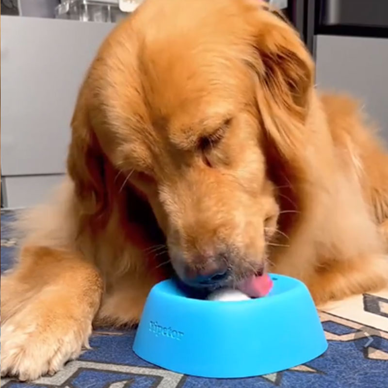 Anti-Choke Slow Feeder Dog Bowl & Lick Mat - Image 3