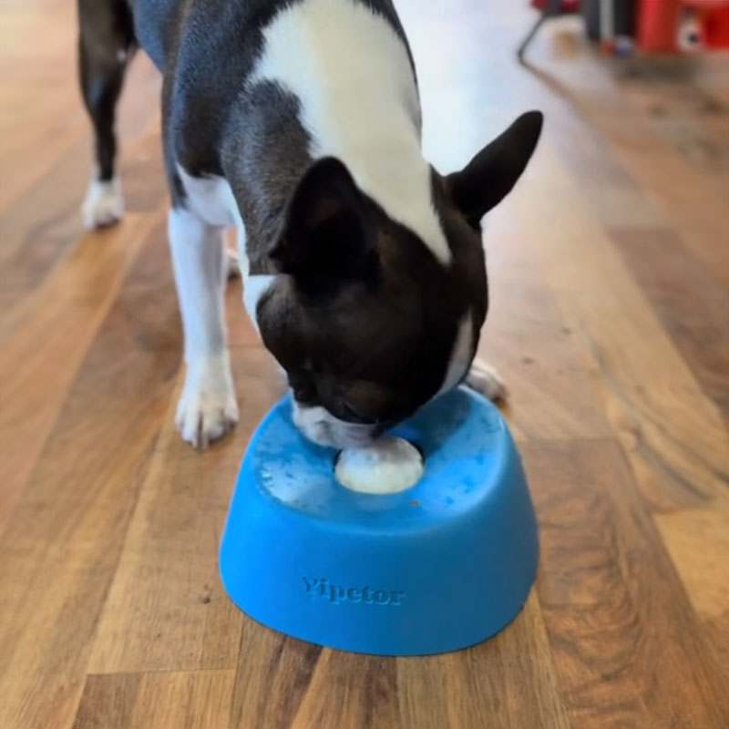 Anti-Choke Slow Feeder Dog Bowl & Lick Mat - Image 4